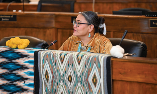 Navajo Nation Council votes to remove all unconfirmed Executive...