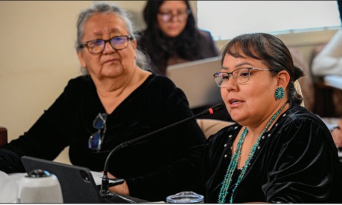 Budget and Finance Committee receives FY2027 Revenue Projection Report